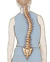 脊柱侧弯的症状