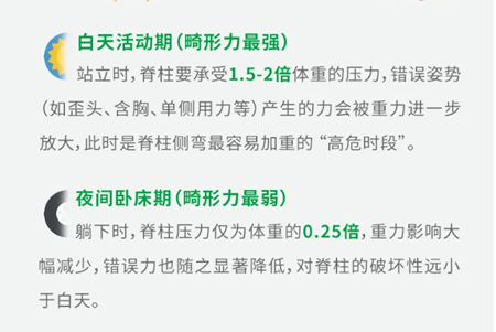 脊柱侧弯支具