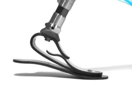 微型切片技术碳纤储能假脚